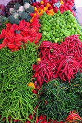 Turkey. Turkish Culture. Sights and nature of Turkey. Sea. The sun. Palms. Beach. Hotel.