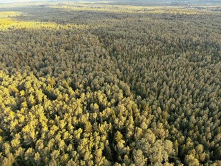 Aerial view beautiful panoramic landscape green forest from high altitude at sunset in summer
