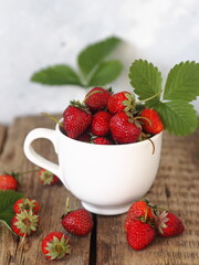 Berry strawberry theme.Strawberry in a white porcelain cup on a wooden ancient table on a gray background.Copy space. Front view.