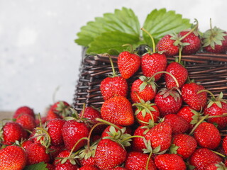 Summer berry theme. Strawberry fruits with leaves near an inverted pike on a light gray background. Copy space.