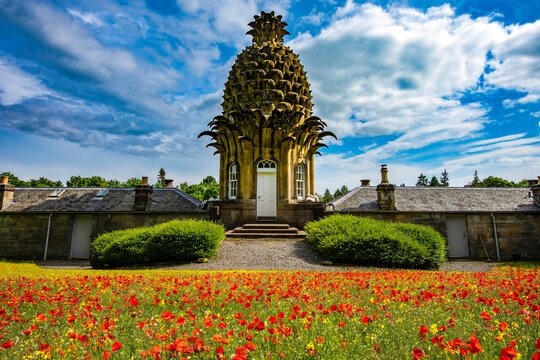 The Dunmore Pineapple building in Dunmore Park, Airth, Scotland, UK.