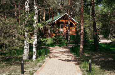 pines  , wooden house among trees,  Sunny day, path, house in the forest