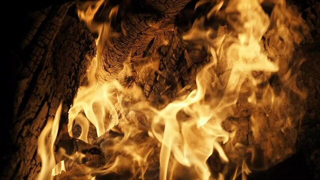 Burning Fire in natural fireplace in SLOW MOTION HD VIDEO. Branches of conifer tree burns in wild flames of natural bonfire on the meadow during the night. Detail. Half speed