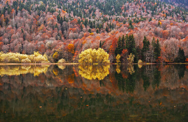 Fototapeta premium Autumn forest with reflection on Biogradsko lake in Montenegro