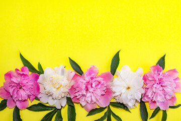 Yellow background with peonies flowers and place for text.