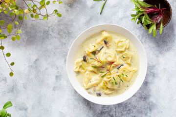 Tortellini pasta soup with spinach, carrot and chicken