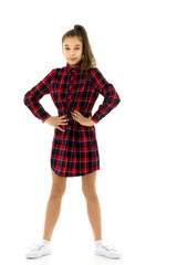 Elegant girl in a dress.Isolated on white background.