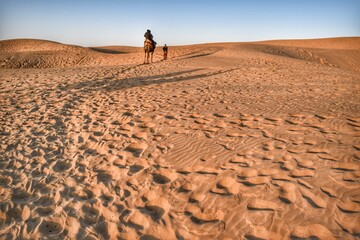 Beautiful view of the camel at Jaisalmer desert.