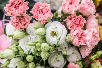 Set of fresh and elegant flowers. White and pink flowers