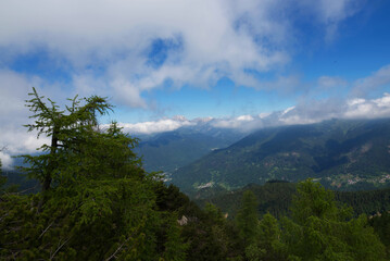 Naklejka premium Monte Tersadia salendo da Paluzza.