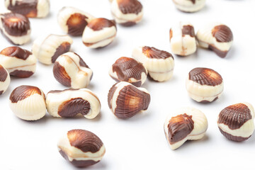 Belgian seashells traditional chocolate candies close-up on a white background