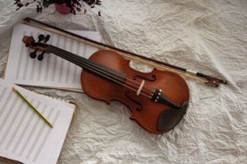 Obraz na płótnie Canvas Blurry light design background of violin and bow on background,Blurred motion