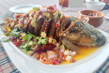 fried Snakehead fish with herb and spicy sauce, thai food.