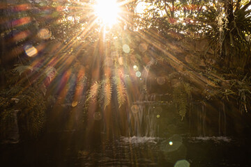 Vintage retro effect filtered hipster style image of tropical waterfall with sun rays. Waterfall with sun rays