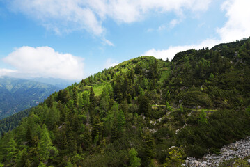 Fototapeta na wymiar Monte Tersadia salendo da Paluzza.