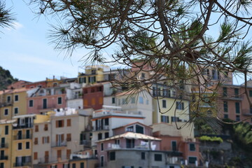 Fototapeta na wymiar Manarola, Cinque Terre