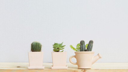 Small succulent cactus plant in orange clay pot on brown desk and white wall