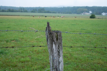 pasture fence made of old wooden posts and barbed wire for cattle and cows