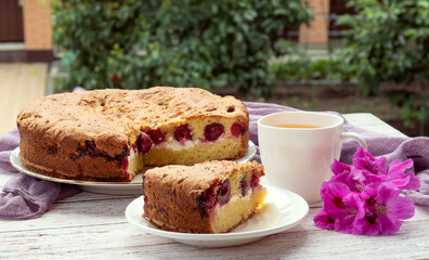 Cherry homemade cake and a Cup of tea in nature.