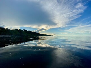 Fototapeta premium Black River in Manaus, Amazonas - Brazil.