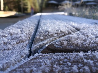 Early morning frosts in Sequoia National Park