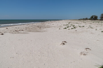 Big sandy beach of a deserted island. Great place for secluded relaxation.