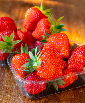 Fresh ripe sweet pink lambada strawberry in plastic boxes ready to eat
