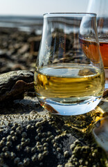 Tasting glass of Scotch whisky and sea shore during low tide, smoky whisky pairing with oysters