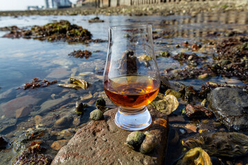 Tasting glass of Scotch whisky and sea shore during low tide, smoky whisky pairing with oysters