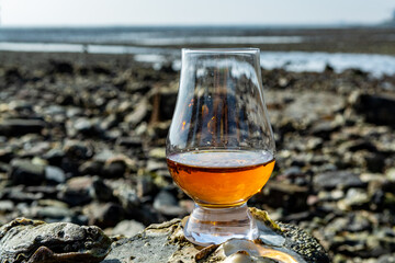 Tasting glass of Scotch whisky and sea shore during low tide, smoky whisky pairing with oysters