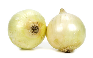 sweet onion on a white background