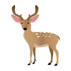 deer vector illustration