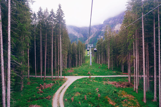Green pine forest and cable car going up and down to the Titlis mountain in Swiss Alps, located on the border between the Swiss cantons of Obwalden and Bern, mainly accessed from the Engelberg