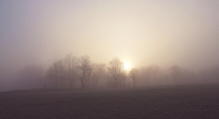 Fototapeta na wymiar hazy winter sunrise behind woods an meadow