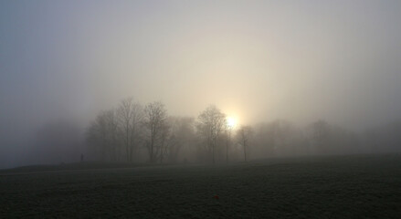 Obraz na płótnie Canvas hazy winter sunrise behind woods an meadow