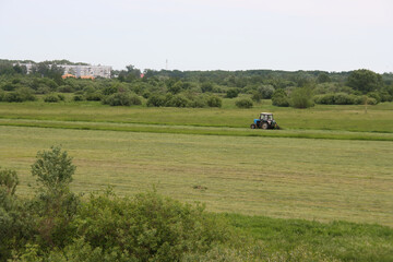 Fototapeta na wymiar Mowing grass in the meadow in early summer