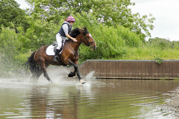 Young woman and her beautiful bay horse enjoy the excitement of moving at speed through a water...