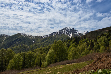 Fototapeta na wymiar Greater Caucasus Mountains - Mountains in Samegrelo Planned National Park, Georgia.