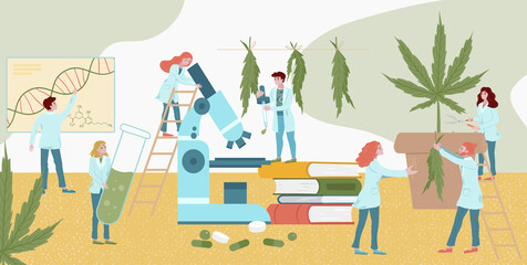 Tiny character lab medicines plant research cannabis, male female analysis fellow flat vector illustration. Laboratory assistant look microscope, medical book study marijuana health effect.