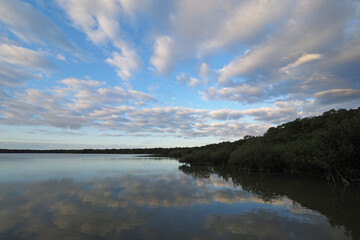 Sunrise over West Lake in Everglades National Park, Florida under striking cloudscape reflected in tranquil water.