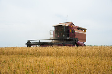Combine harvesters in a field of wheat