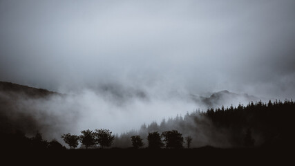 Eifel Nebel