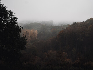 Eifel Nebel