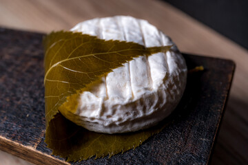Cheese Delight of Tokyo, leaf decorated. French natural product.