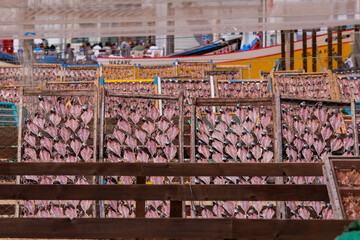 Traditional Wooden Racks with Dry Fish in the Sun at the Beach - Nazaré, Portugal