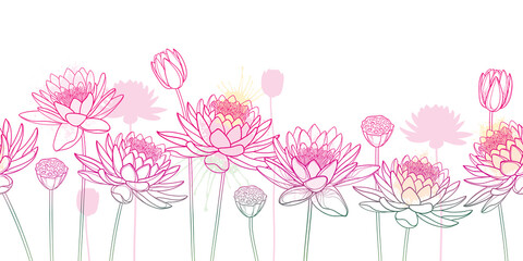 Horizontal seamless pattern with outline Lotos or water lily flower, bud and seed pod in pastel pink on the white background. 