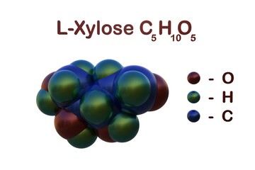 Structural chemical formula and space-filling molecular model of l-xylose, a sugar first isolated from wood, and named for it. Scientific background. 3d illustration