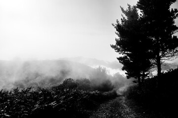 Disfrutando de Asturias