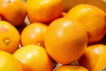 Ripe grapefruits in the market. A lot of juicy fruit, citrus. vitamins and healthy diet.
