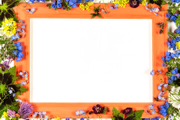 Flower frame made of wild flowers. Template for text, postcards.